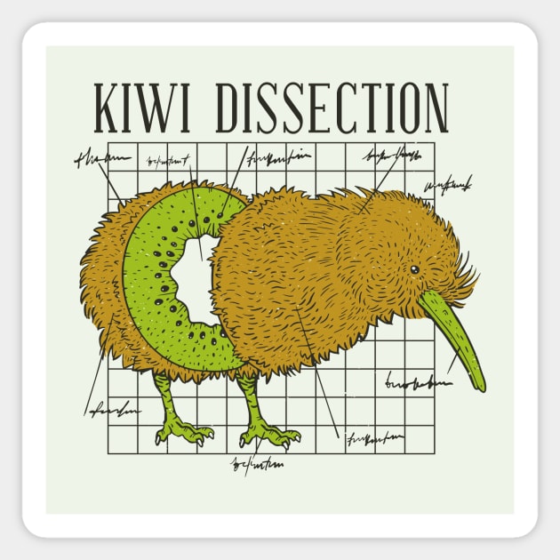 Funny Kiwi Bird Dissection // Funny Science Biology Humor Sticker by SLAG_Creative